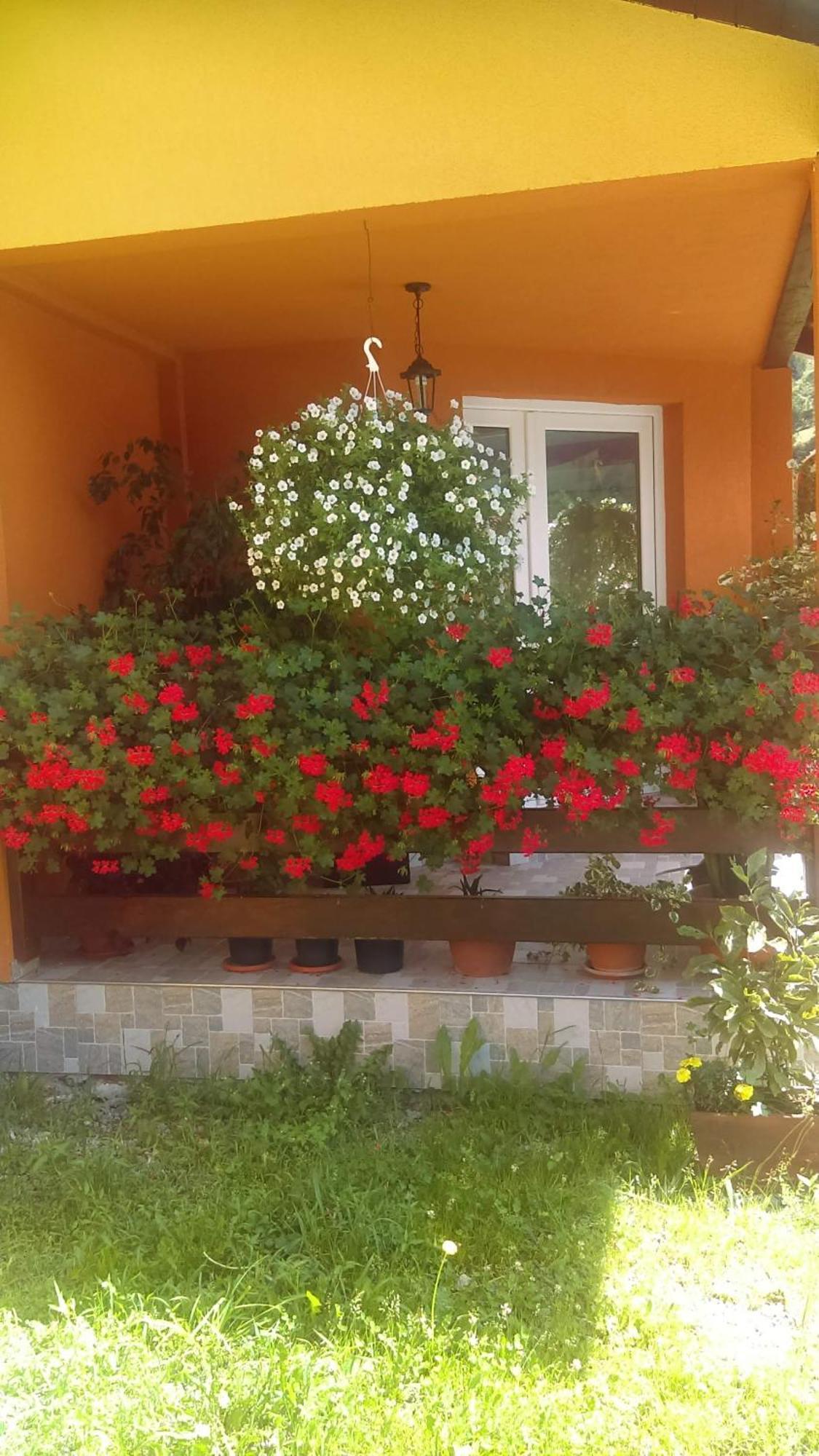 Villa Ge-Lux Incesti Exterior foto