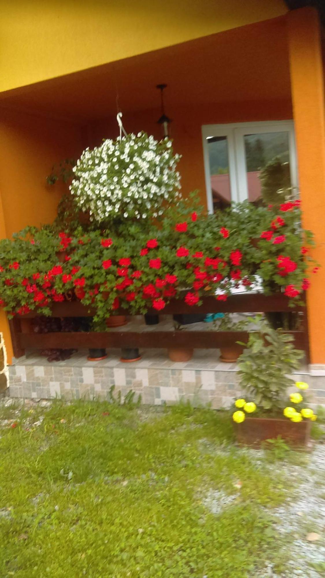 Villa Ge-Lux Incesti Exterior foto